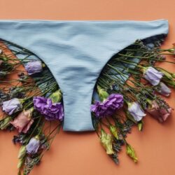 Vulva