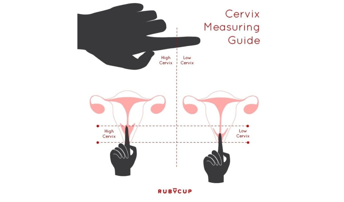 menstruacine taurele kaip naudoti